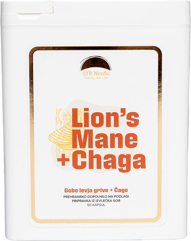 Lion’s Mane & Chaga